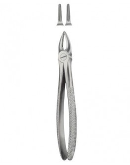  Tooth Forceps, American Pattern for upper Molars for Wisdom Teeth 